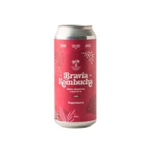 BRAVIA KOMBUCHA FRUTOS ROJOS X 473 ML