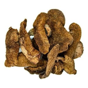 HONGOS SECOS