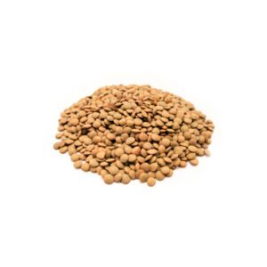 LENTEJON