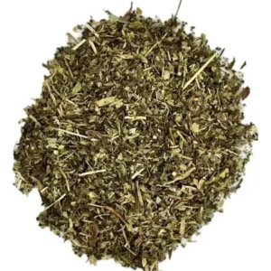 MENTA