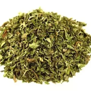 MENTA PEPERINA