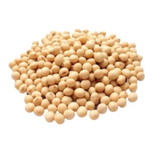 POROTO DE SOJA