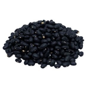 POROTO NEGRO
