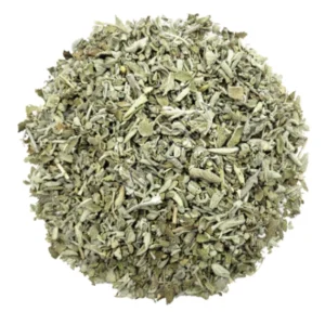 SALVIA OFICINAL